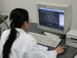 Scientist reviewing microscopy image on computer