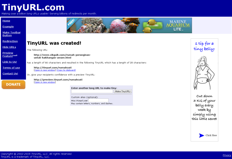 TinyURL.com website interface: shorten long URLs, preview URLs, and create custom aliases.