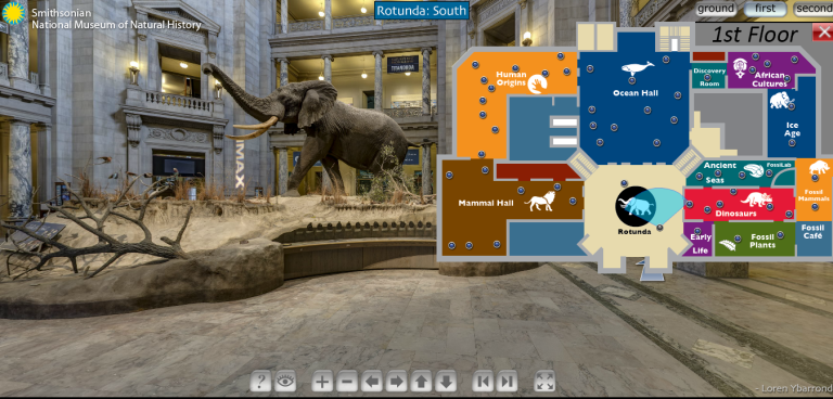 Virtual tour of the Smithsonian National Museum of Natural History's first floor. Explore exhibits like Ocean Hall and Dinosaur Hall.