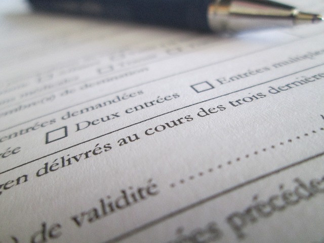 Close-up of a PDF form with checkboxes, showing options for single or multiple entries. "Deux entrées" and "Entrées multiples" are visible.